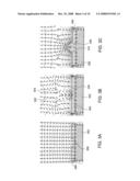 Method of Forming Nanotube Vertical Field Effect Transistor diagram and image