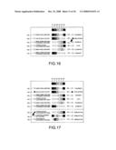 Coloring Support System, Coloring Support Program, and Storage Medium as Well as Coloring Support Method diagram and image