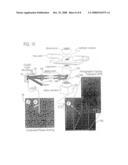 Aberration correction of optical traps diagram and image