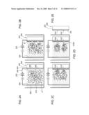 Nanotube Device and Method of Fabrication diagram and image