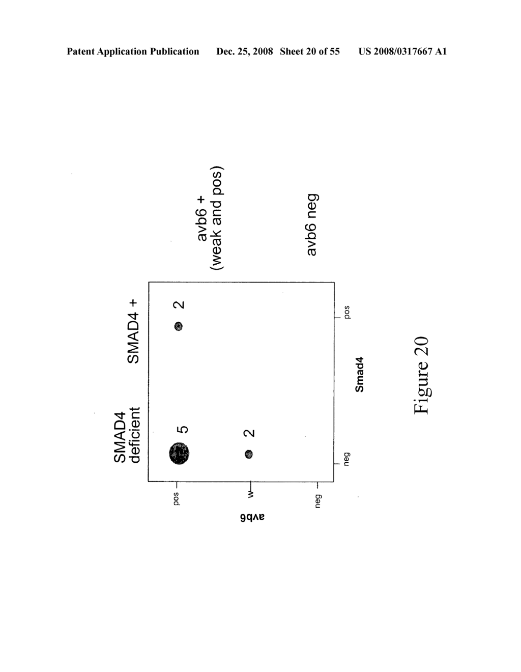 Compositions and methods for inhibiting growth of smad4-deficient cancers - diagram, schematic, and image 21