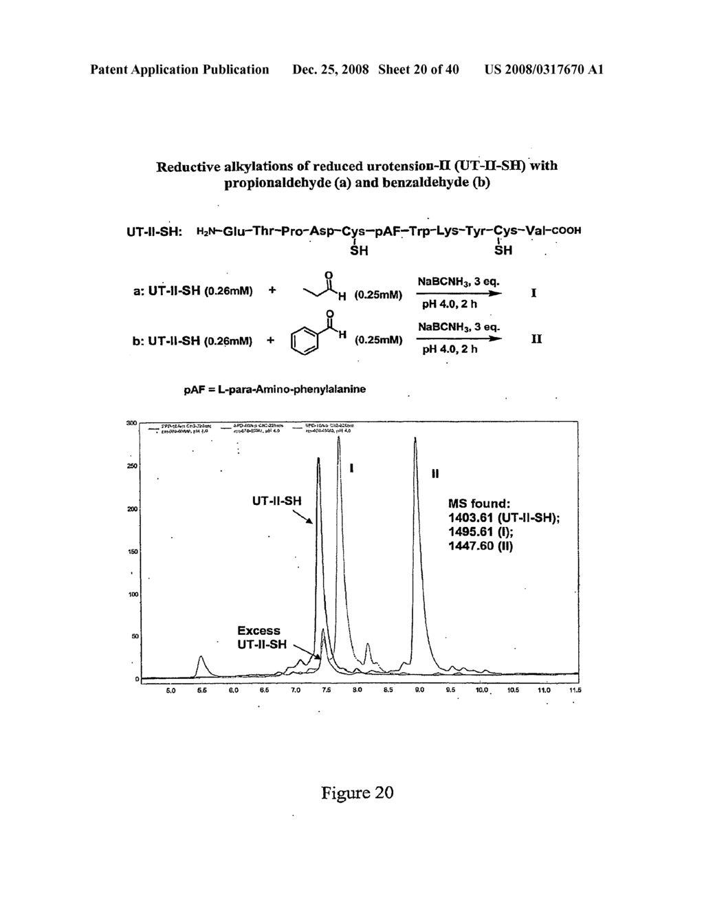 Compositions Containing, Methods Involving, and Uses of Non-Natural Amino Acids and Polypeptides - diagram, schematic, and image 21