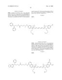 Biocompatible Fluorescent Imaging Agents diagram and image