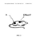 Targeted Conjugates and Radiation diagram and image