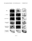 Targeted Conjugates and Radiation diagram and image