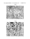 Regulating stem cells diagram and image