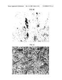 Regulating stem cells diagram and image