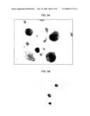 Regulating stem cells diagram and image