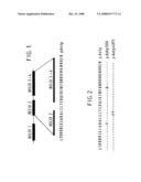 Conjugates that contain the homeodomain of antennapedia diagram and image