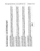 Hiv Tat-Cd4 Hybrid Molecules and Methods of Use Thereof diagram and image