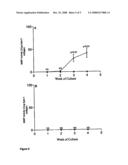 Hyarulonic Acid Derivative Based Three Dimensional Matrix diagram and image