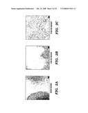 Induction of a physiological dispersion response in bacterial cells in a biofilm diagram and image