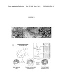 COMPOSITIONS AND METHODS FOR POLYMER-CAGED LIPOSOMES diagram and image