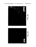 MESOPOROUS MATERIALS AND METHODS diagram and image