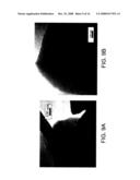 MESOPOROUS MATERIALS AND METHODS diagram and image