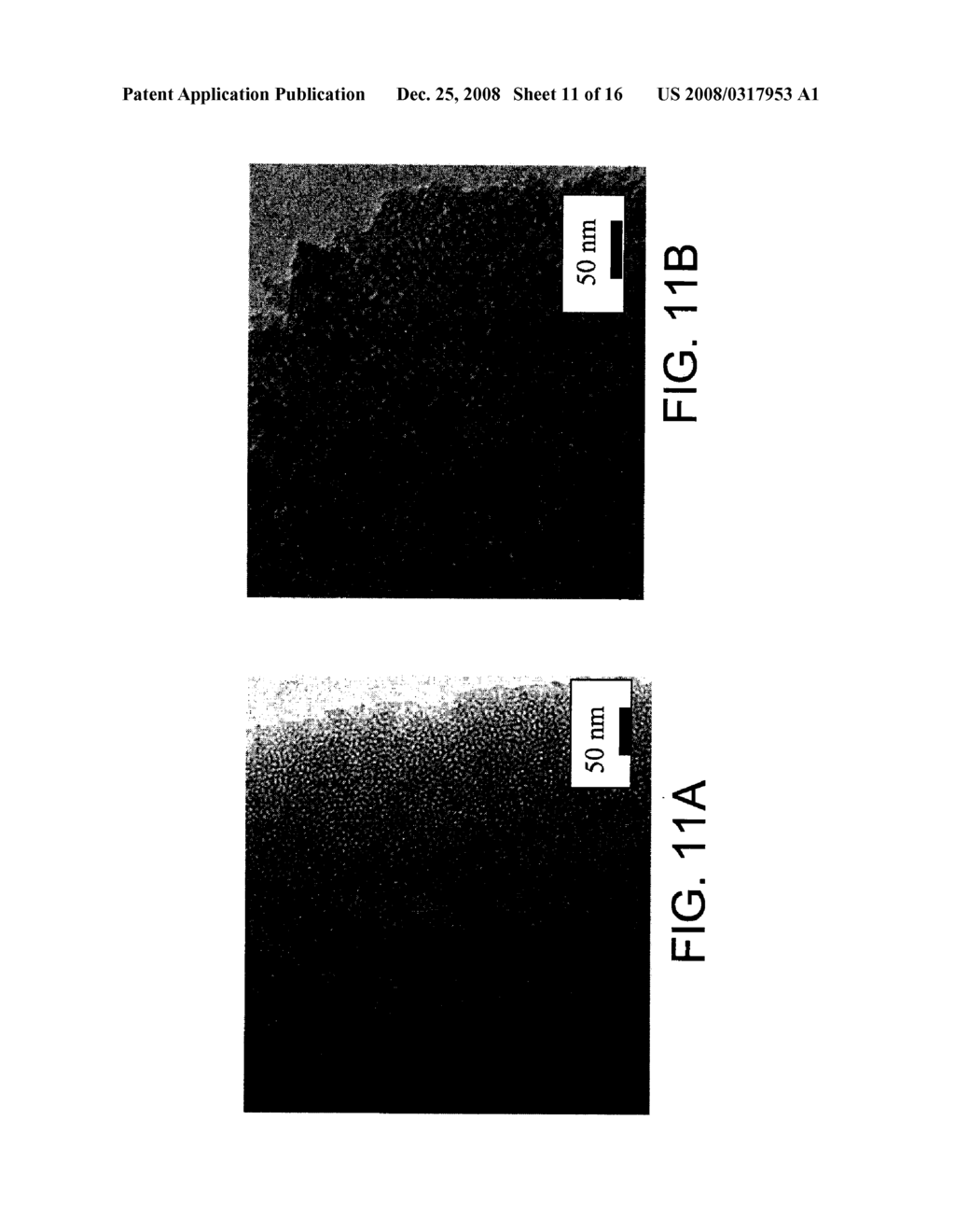 MESOPOROUS MATERIALS AND METHODS - diagram, schematic, and image 12