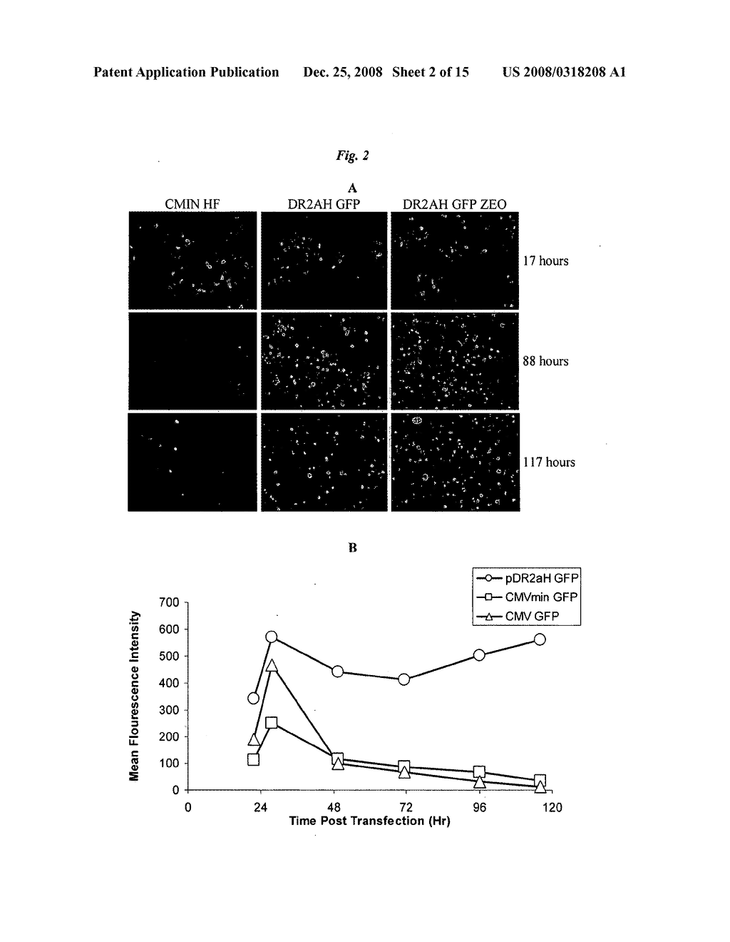 Dengue Reporter Virus and Methods of Making and Using the Same - diagram, schematic, and image 03