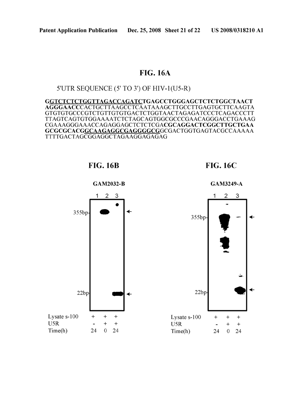 BIOINFORMATICALLY DETECTABLE GROUP OF NOVEL REGULATORY VIRAL AND VIRAL ASSOCIATED OLIGONUCLEOTIDES AND USES THEREOF - diagram, schematic, and image 22