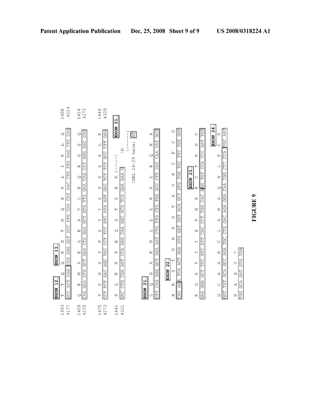 LARGE DELETIONS IN HUMAN BRCA1 GENE AND USE THEREOF - diagram, schematic, and image 10