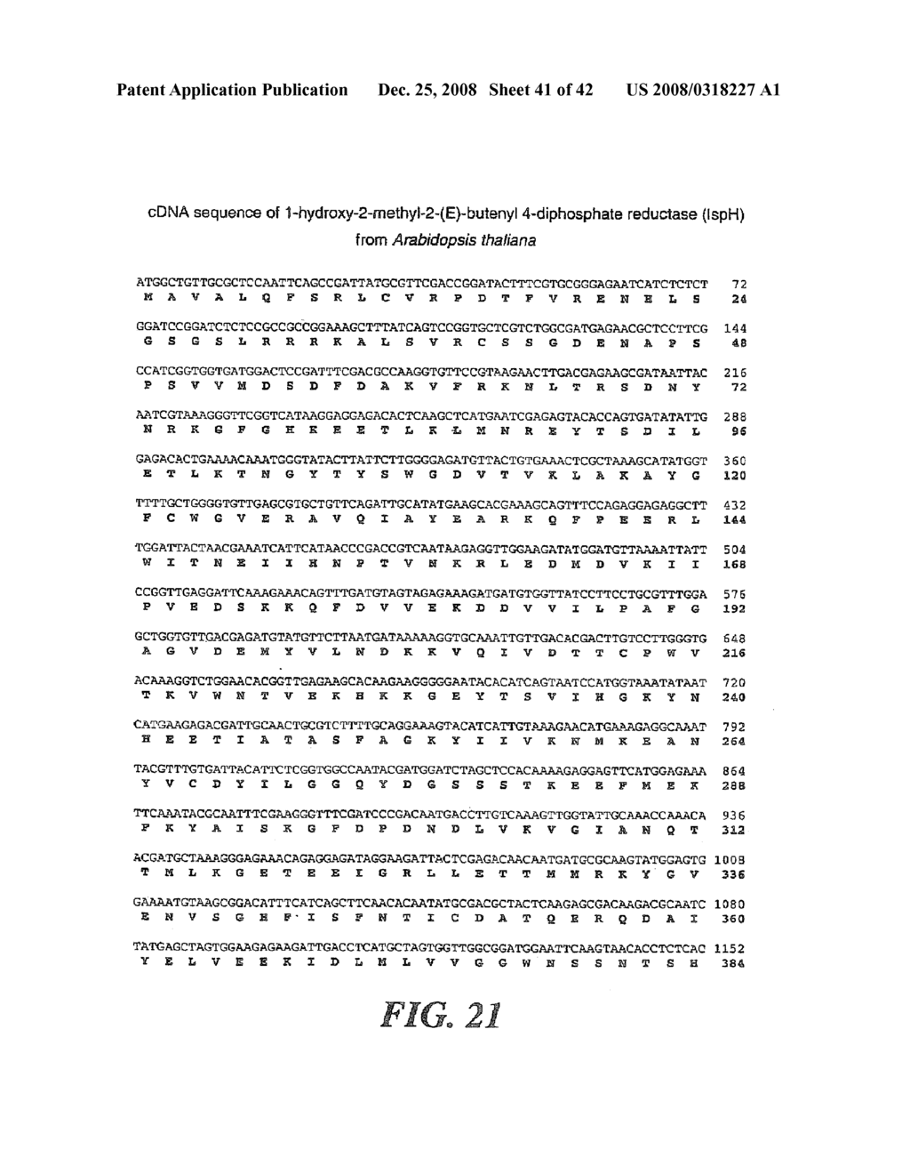 Intermediates and enzymes of the non-mevalonate isoprenoid pathway - diagram, schematic, and image 42