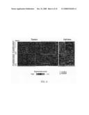 Biomarkers and methods for determining sensitivity to microtubule-stabilizing agents diagram and image