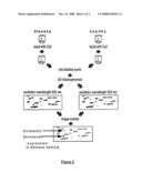 Method for Diagnosing Neuro-Degenerative Disease diagram and image