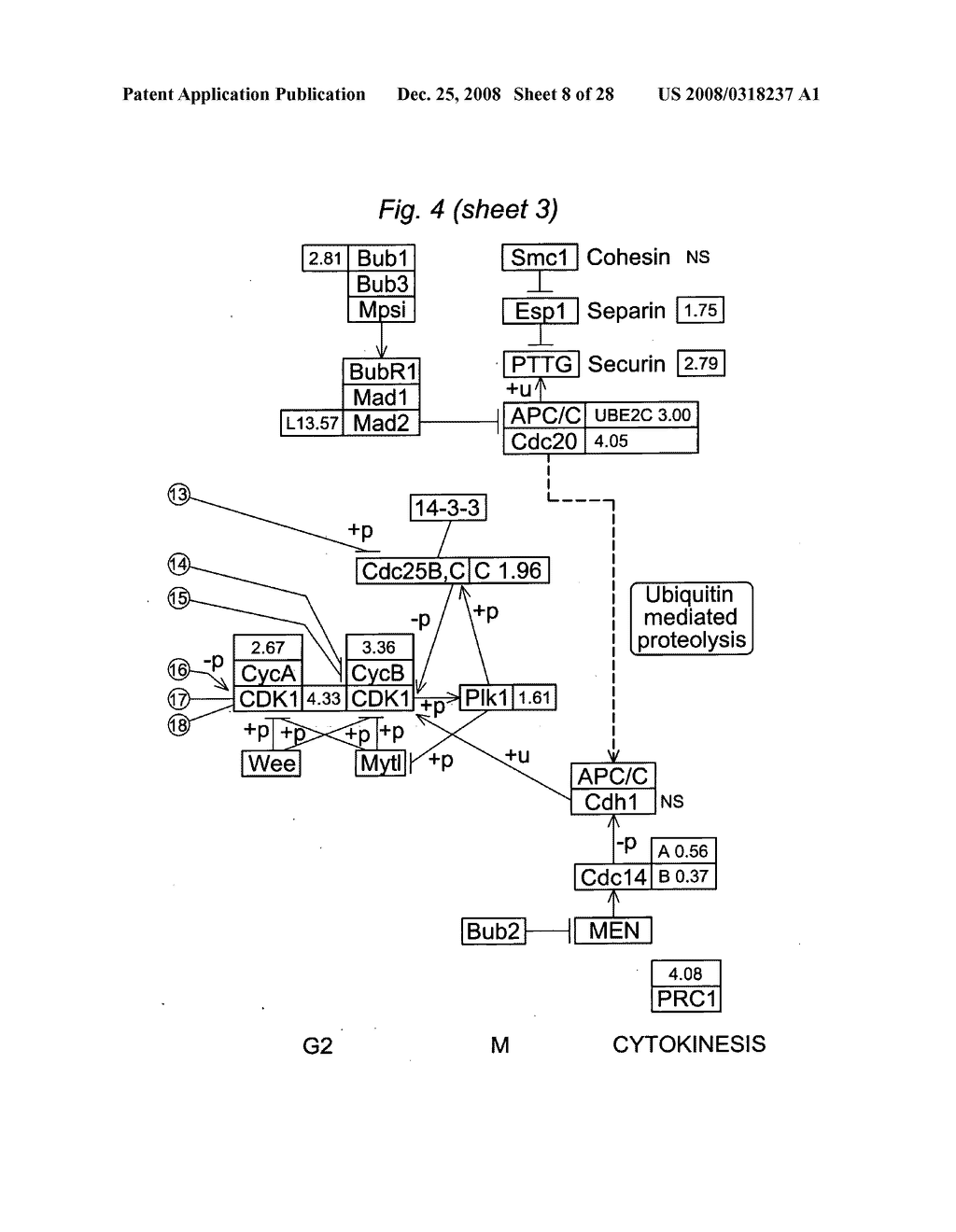 METHODS OF DIAGNOSING ENDOMETRIOSIS - diagram, schematic, and image 09