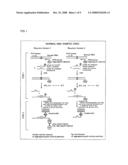 METHOD OF DETECTING GENE MUTATION diagram and image