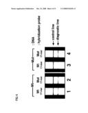 METHOD OF DETECTING GENE MUTATION diagram and image