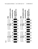 METHOD OF DETECTING GENE MUTATION diagram and image