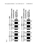 METHOD OF DETECTING GENE MUTATION diagram and image