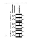 METHOD OF DETECTING GENE MUTATION diagram and image