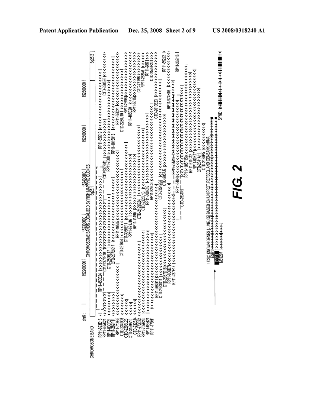 METHODS FOR UTILIZING ESR COPY NUMBER CHANGES IN BREAST CANCER TREATMENTS AND PROGNOSES - diagram, schematic, and image 03