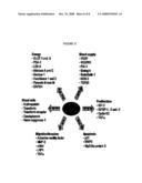 Methods and Systems for Detecting Antiangiogenesis diagram and image