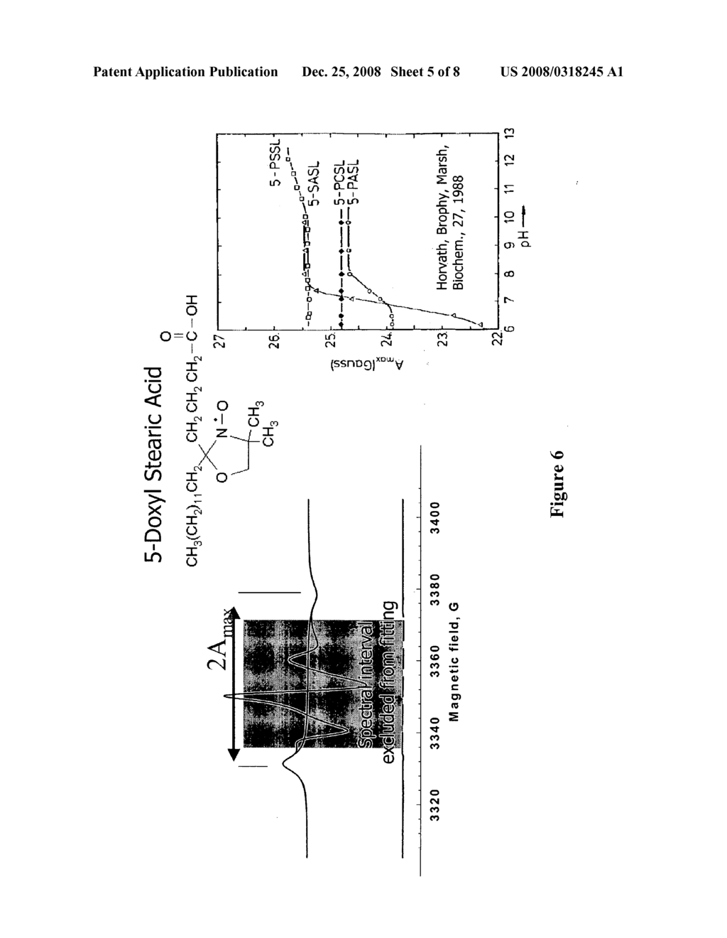 NANOTUBE STRUCTURES HAVING A SURFACTANT BILAYER INNER WALL COATING - diagram, schematic, and image 06