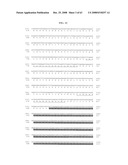 Polynucelotides encoding novel variants of the TRP channel family member, LTRPC3 diagram and image