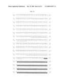 Polynucelotides encoding novel variants of the TRP channel family member, LTRPC3 diagram and image