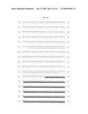 Polynucelotides encoding novel variants of the TRP channel family member, LTRPC3 diagram and image