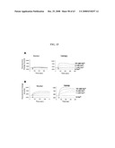 Polynucelotides encoding novel variants of the TRP channel family member, LTRPC3 diagram and image