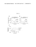 Polynucelotides encoding novel variants of the TRP channel family member, LTRPC3 diagram and image