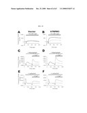 Polynucelotides encoding novel variants of the TRP channel family member, LTRPC3 diagram and image