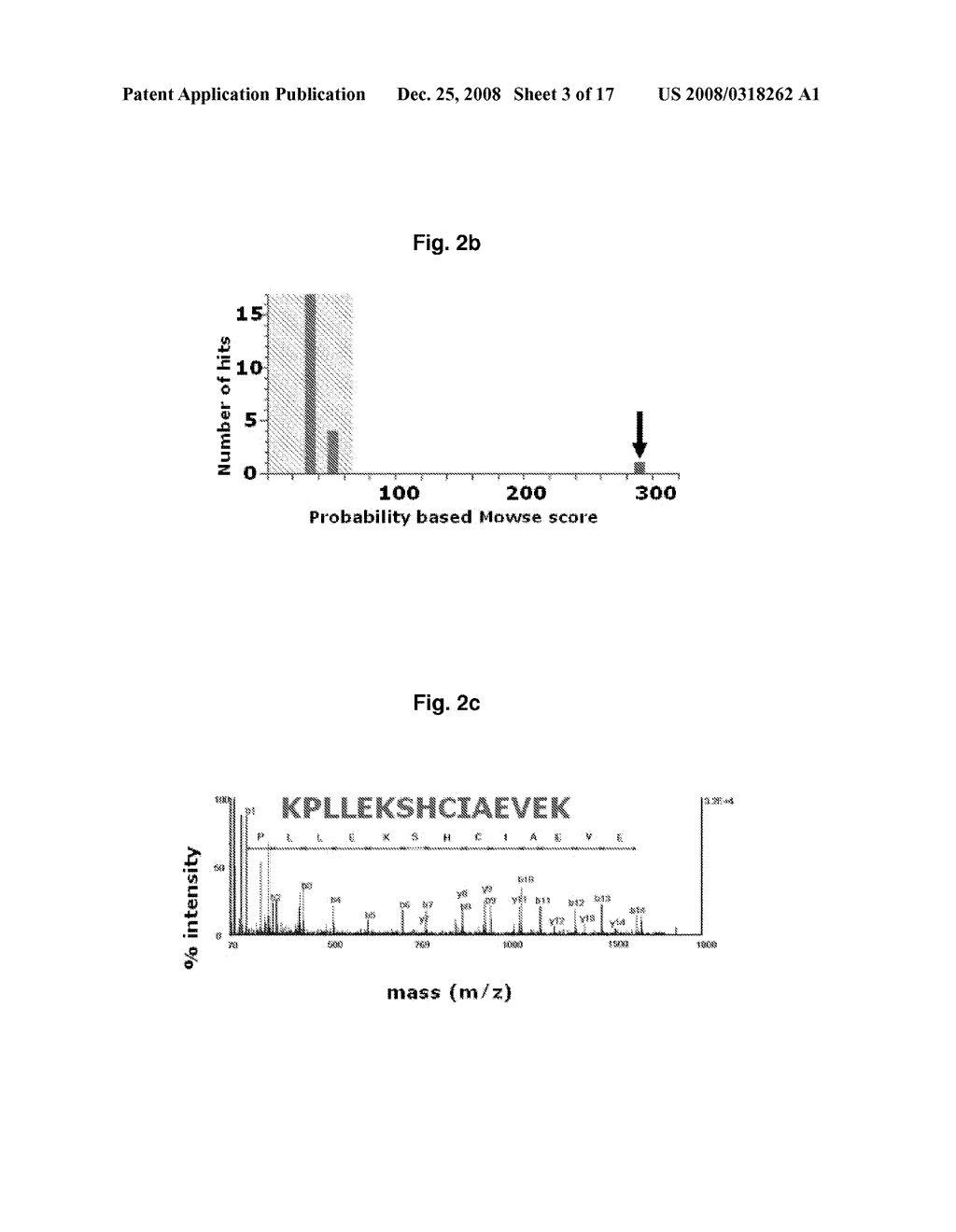 Protein Cleavage at Aspartic Acid Using Chemical Reagents - diagram, schematic, and image 04