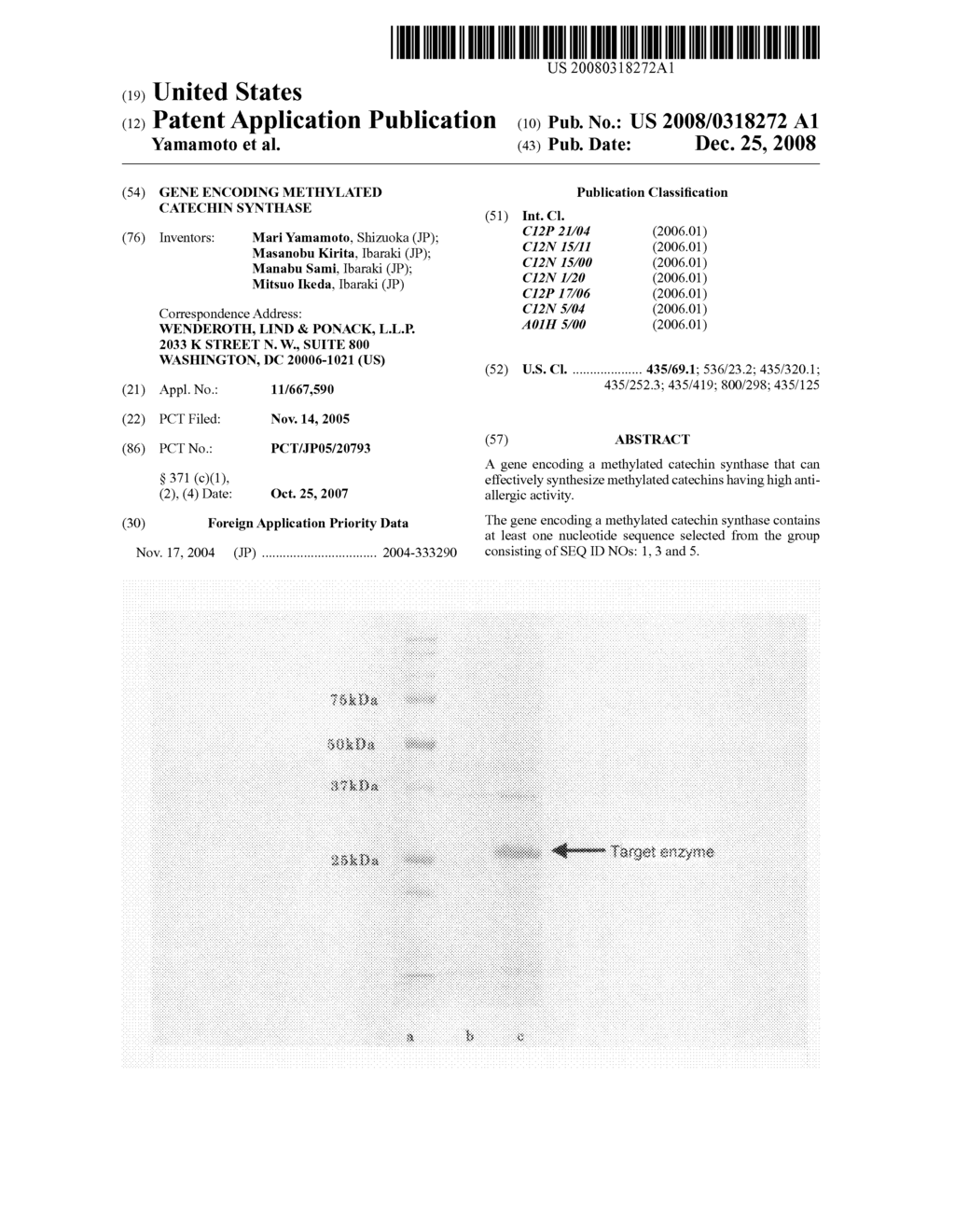 Gene Encoding Methylated Catechin Synthase - diagram, schematic, and image 01