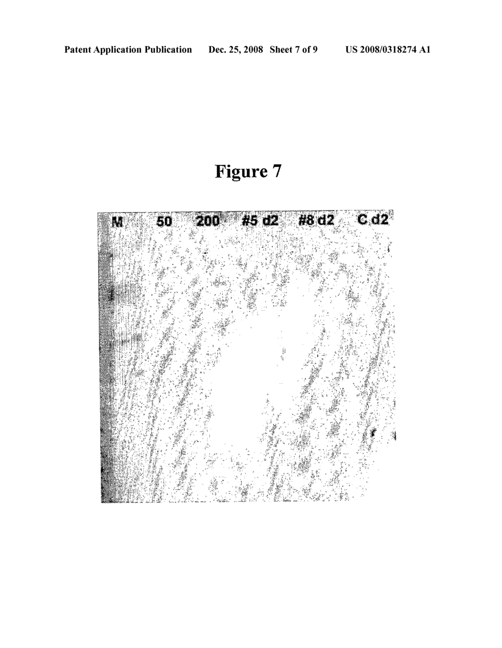 Methods and Compositions for Combinatorial-Based Production of Multivalent Recombinant Antigens - diagram, schematic, and image 08