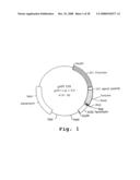 Expression of human milk proteins in transgenic plants diagram and image