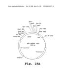 Expression of human milk proteins in transgenic plants diagram and image