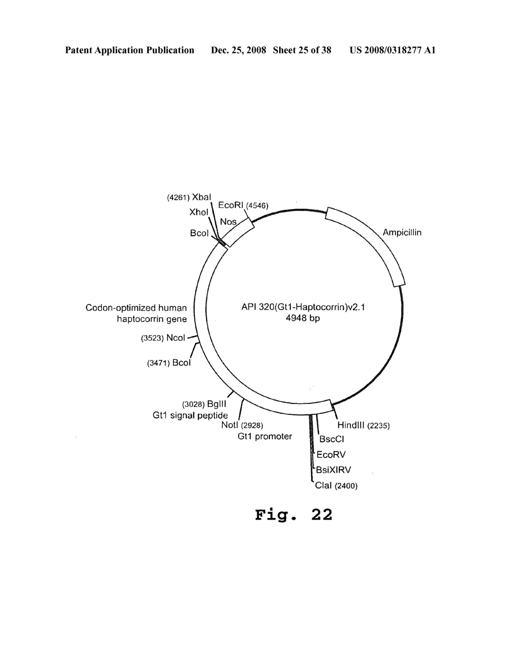 Expression of human milk proteins in transgenic plants - diagram, schematic, and image 26