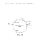 Expression of human milk proteins in transgenic plants diagram and image