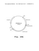 Expression of human milk proteins in transgenic plants diagram and image