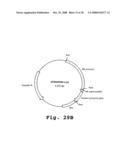 Expression of human milk proteins in transgenic plants diagram and image